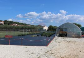 Istra, Poreč, Parcela u okolici Poreča od 10.197 m2 s 3 plastenika, Poreč, Γη