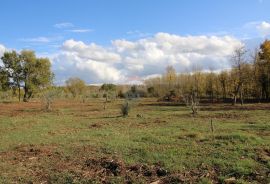 Istra,Kaštelir, Labinci, poljoprivredno zemljište, 8 578 m2, Kaštelir-Labinci, Land