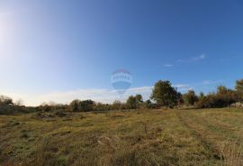 Istra,Kaštelir, Labinci, poljoprivredno zemljište, 8 578 m2, Kaštelir-Labinci, Land