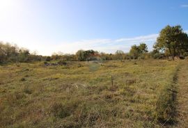 Istra,Kaštelir, Labinci, poljoprivredno zemljište, 8 578 m2, Kaštelir-Labinci, Land