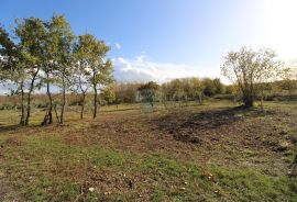 Istra,Kaštelir, Labinci, poljoprivredno zemljište, 8 578 m2, Kaštelir-Labinci, Land