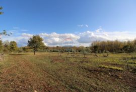 Istra,Kaštelir, Labinci, poljoprivredno zemljište, 8 578 m2, Kaštelir-Labinci, Land