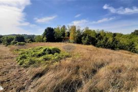 Istra, građevinsko zemljište u okolici Motovuna, Karojba, Terra