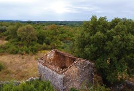 Rovinj,stancija na 58 000m2,otvoreni pogled more, Rovinj, Σπίτι