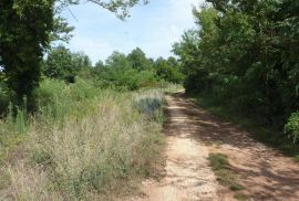 Poreč-Varvari, Lijepo poljoprivredno zemljište s pristupnim putem, Poreč, Land