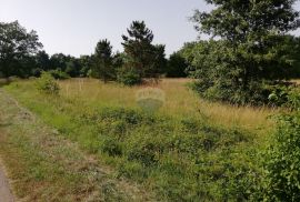 Istra, Tinjan, poljoprivredno zemljište 3274 m2, Tinjan, Land