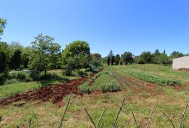 Kaštelir, prelijepa parcela usred bujnog zelenila, Kaštelir-Labinci, Γη