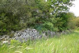 Istra, okolica Fažane, uređeni maslinik u prirodi, 4340 m2, Fažana, Land