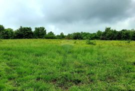 Istra, građevinsko zemljište u okolici Brtonigle, Brtonigla, Land