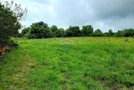 Istra, građevinsko zemljište u okolici Brtonigle, Brtonigla, Land