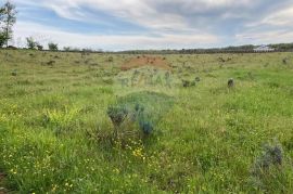 Poreč, okolica, poljoprivredno zemljište 30000m2, Poreč, Terra