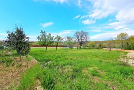 Istra,Brtonigla-Građevinske parcele na rubnom dijelu grada, Brtonigla, Land