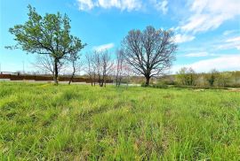 Istra,Brtonigla-Građevinske parcele na rubnom dijelu grada, Brtonigla, Land