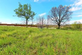 Istra,Brtonigla-Građevinske parcele na rubnom dijelu grada, Brtonigla, Land