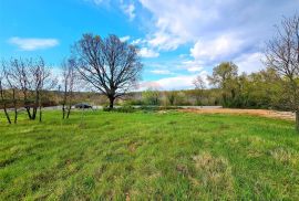 Istra,Brtonigla-Građevinske parcele na rubnom dijelu grada, Brtonigla, Land