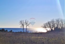 Istra Umag-Savudrija,Građevinsko zemljište turističke namjene, Umag, Land