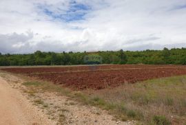 Istra, okolica Višnjana poljoprivredna zemlja površine 47.489m2, Višnjan, Land