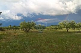 Tar, stoljetna kuća za adaptaciju sa velikim imanjem, Tar-Vabriga, House