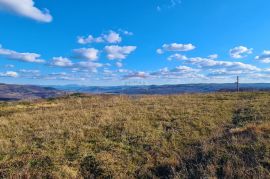 GRAĐEVINSKO ZEMLJIŠTE SA POGLEDOM NA MORE, Buje, Land