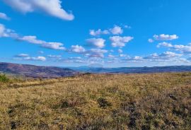 GRAĐEVINSKO ZEMLJIŠTE SA POGLEDOM NA MORE, Buje, Land