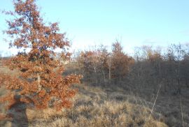 Istra, okolica Pazina, Lindar, veliko poljoprivredno zemljište, za OPG, Pazin - Okolica, Γη