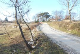 Istra, okolica Pazina, Lindar, veliko poljoprivredno zemljište, za OPG, Pazin - Okolica, Γη