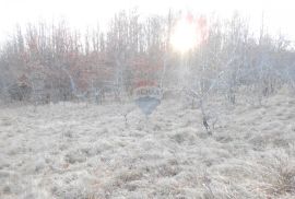 Istra, okolica Pazina, Lindar, veliko poljoprivredno zemljište, za OPG, Pazin - Okolica, Γη