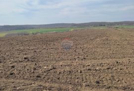 ISTRA,Buje poljoprivredno zemljište sa pogledom na more, Buje, أرض