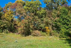 Matulji, Pavlovac, građevinski teren površine 19.700 m2, Matulji, Zemljište