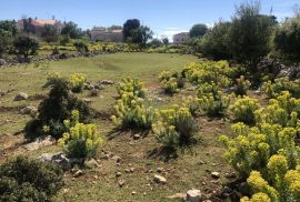 PUNTA KRIŽA - RAVAN GRAĐEVINSKI TEREN PRAVILNOG OBLIKA, Mali Lošinj, Arazi