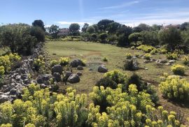 PUNTA KRIŽA - RAVAN GRAĐEVINSKI TEREN PRAVILNOG OBLIKA, Mali Lošinj, Arazi