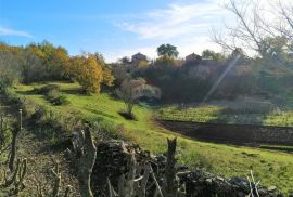 ISTRA, LOBORIKA, građevinsko zemljište, Marčana, Terra