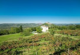 Motovun okolica: Fantastična kamena vila sa bazenom, Motovun, Kuća