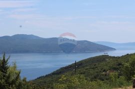 SVETA JELENA - NEGRAĐEVINSKI TEREN, Mošćenička Draga, Tierra