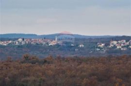 Istra,Jural veliko poljoprivredno zemljište sa mogućnošću gradnje, Kanfanar, Terrain