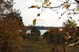 Vabriga, atraktivno građevinsko zemljište, Tar-Vabriga, Zemljište