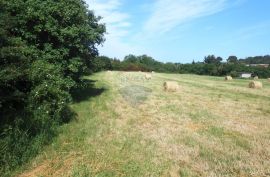 Istra, Štinjan, građevinsko zemljište nadomak kampa Puntižela, Pula, Land