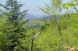 FUŽINE, BITORAJ - teren u srcu šume, Fužine, Zemljište