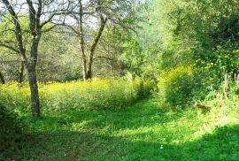 Doluš-građevni teren, Brod Moravice, Terrain