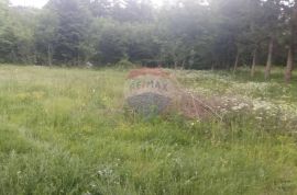 Maševo, bribirska šuma, negrađevinsko zemljište, Vinodolska Općina, Land