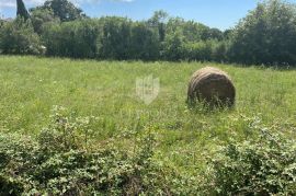 Svetvinčenat, zemljište s građevinskom dozvolom, Svetvinčenat, Land