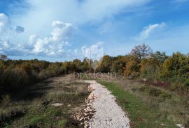 Svetvinčenat, odlično zemljište na mirnoj lokaciji, Svetvinčenat, Tierra