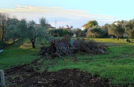 Lijep građevinski teren u okolici Umaga!, Buje, Land