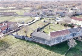 ISTRA, TINJAN - Autohtono istarsko imanje, Tinjan, Maison