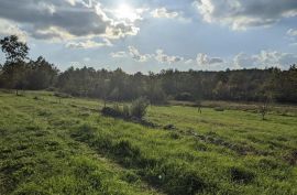 Labin, kompleks građevinskog i poljoprivrednog zemljišta, Labin, Terreno