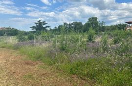 Građevinsko zemljište 2km od mora., Poreč, Terra