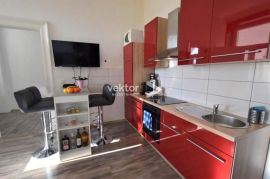 Brajda, uređen 2-soban s dnevnim boravkom, Rijeka, Flat