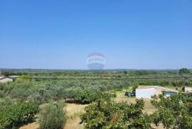 Istra, Fažana bliža okolica, moderan penthouse sa pogledom na more, Fažana, Διαμέρισμα