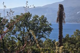 RIJEKA, BIVIO - ODLIČNO GRAĐEVINSKO ZEMLJIŠTE ZA DVIJE ZGRADE, POGLED I BLIZINA MORA, Rijeka, Terrain