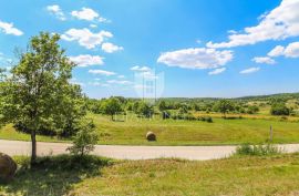 Oprtalj, okolica, građevinsko zemljište s prekrasnim pogledom!, Oprtalj, Terrain